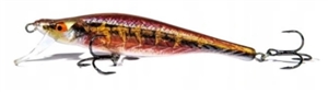 Zdjęcie Wobler FishTank DELTA 12cm D12F-R