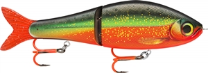 Zdjęcie Rapala Super Shadow Rap Glide 16cm PRNH