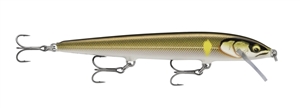 Zdjęcie WOBLER RAPALA Floater Elite 12cm GDAY