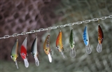 Woblery GLOOG Kalipso 60 SDR